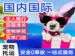 丽江航空物流国际宠物托运 【国